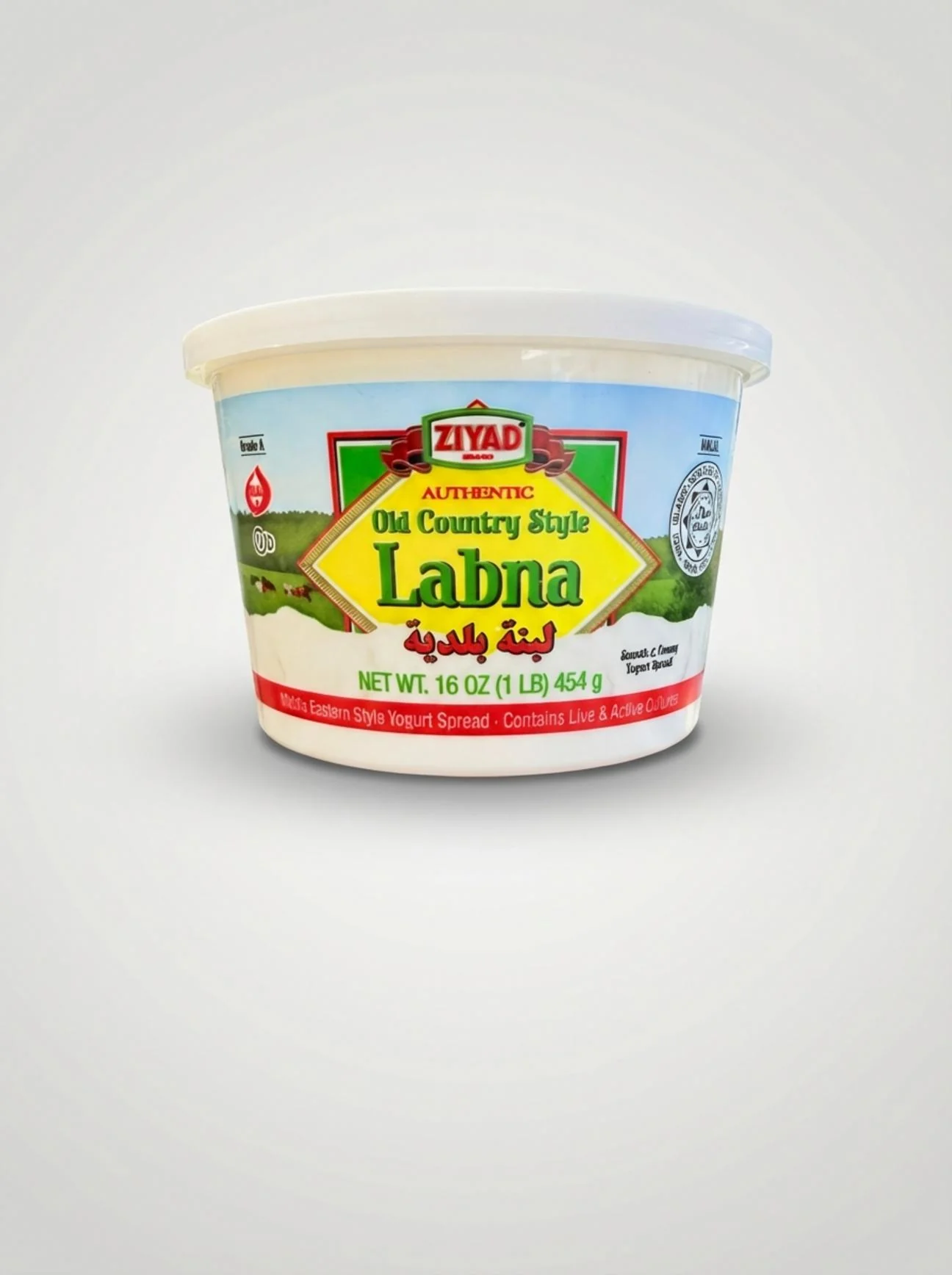 Ziyad Labna (454g)