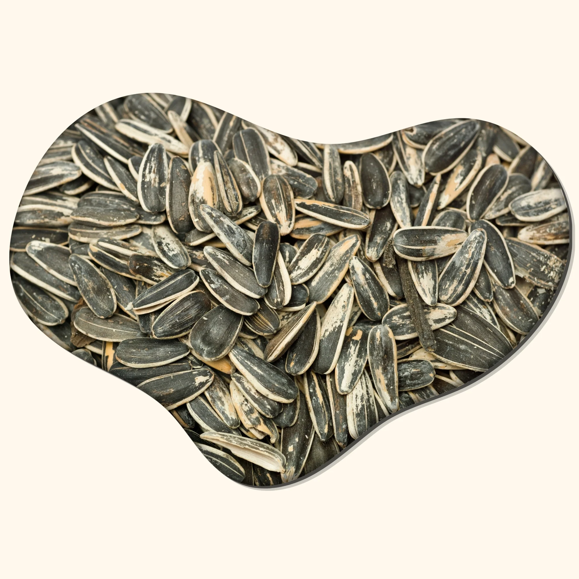 Unsalted Sunflower Seeds Fresh baked(1lb)